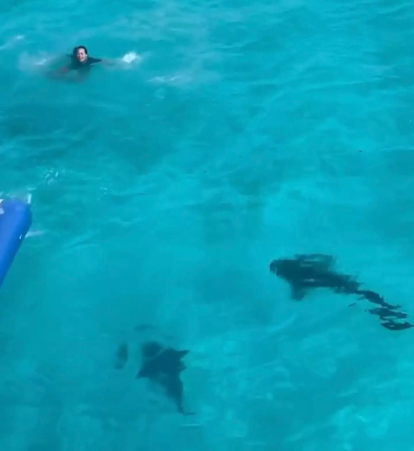 The terrifying video has gone viral.