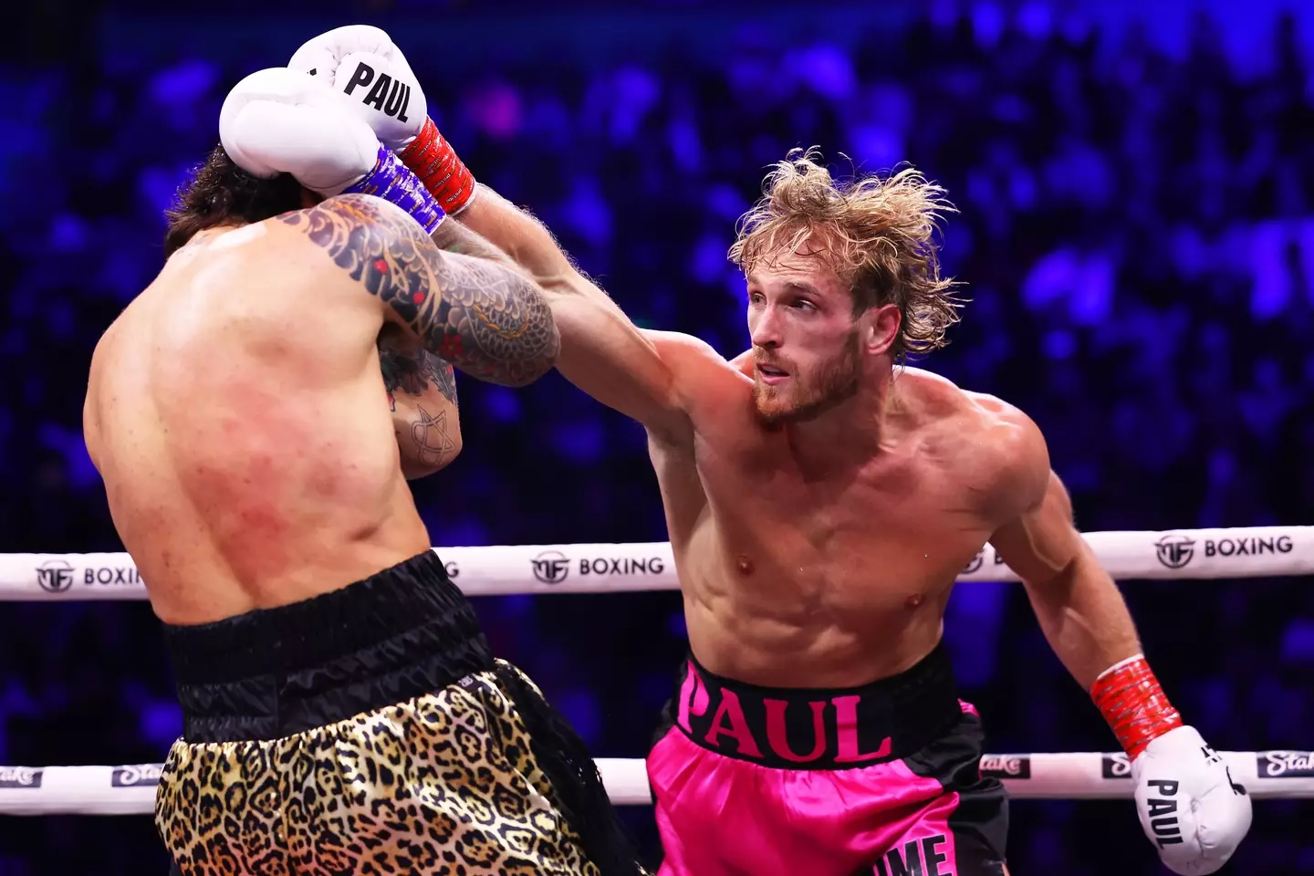 Logan Paul defeating Dillon Danis in October.