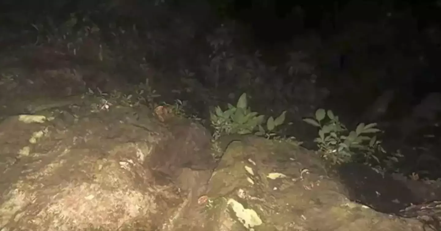 Some of the pictures had been taken at night (YouTube/ TVN2)