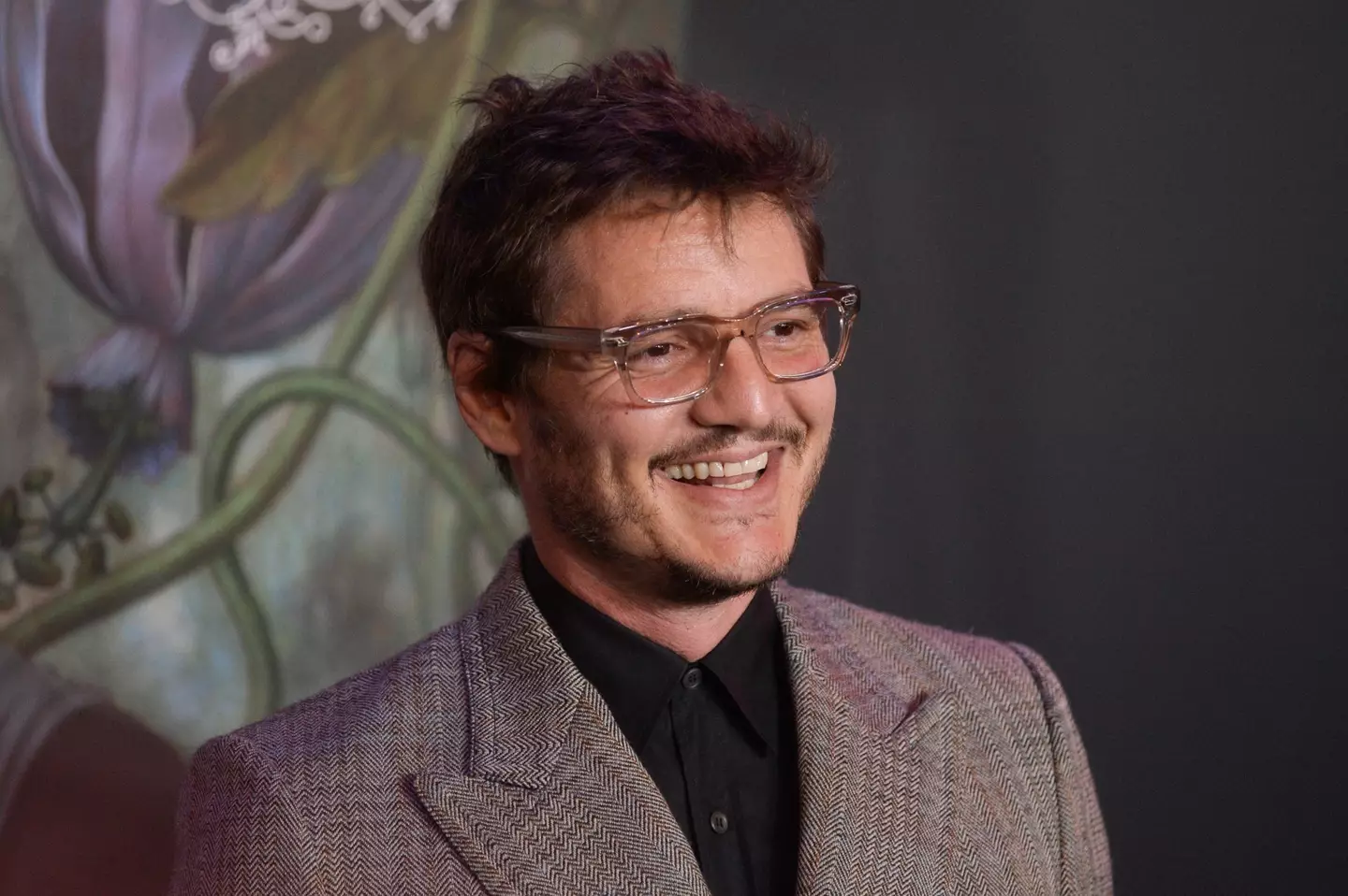 Pedro Pascal is now known for his roles in hits such as Narcos and, more recently, The Last of Us.