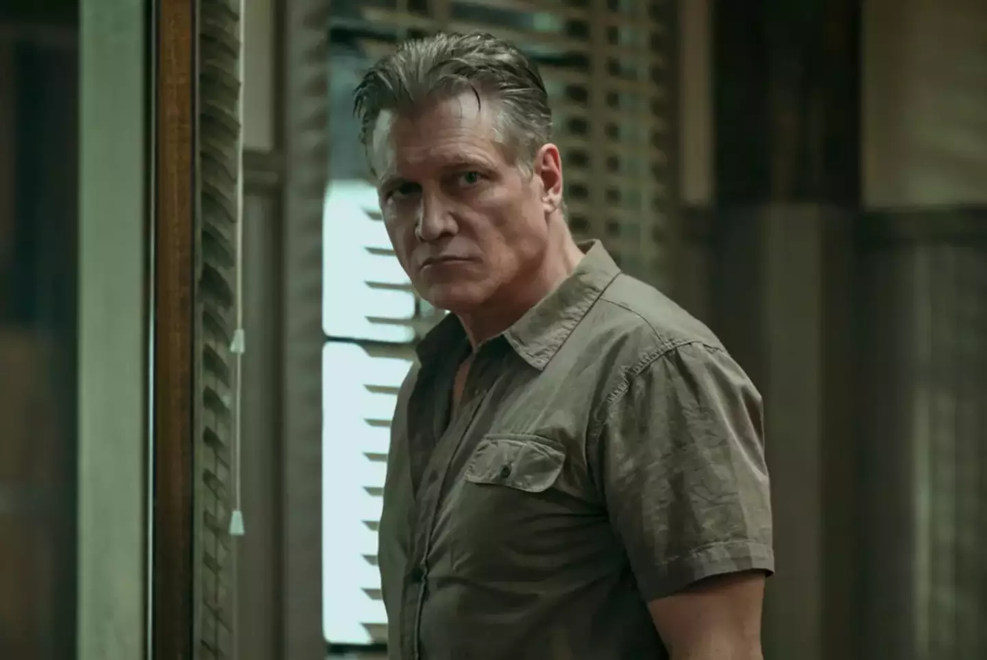 The Waterfront is not getting a second season (Netflix)