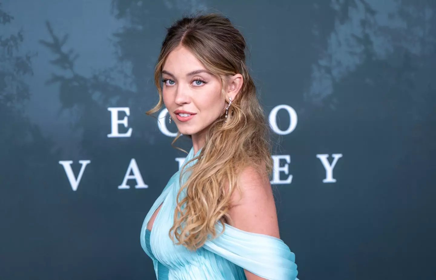 Viewers have been praising the new Sydney Sweeney film available to stream now (Stuart C. Wilson/Getty Images)