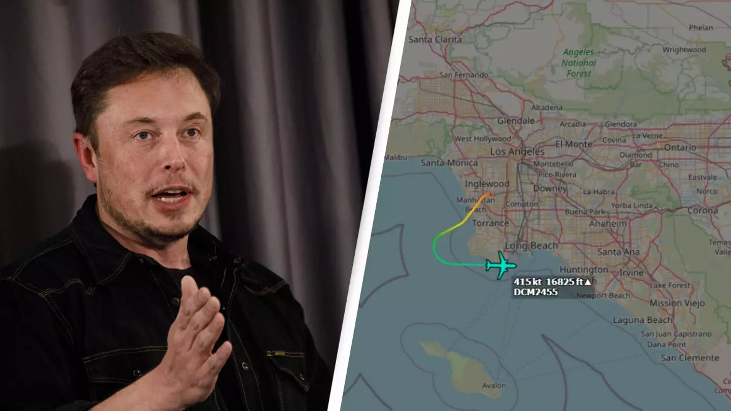 Alamy/@JxckSweeney/Twitter