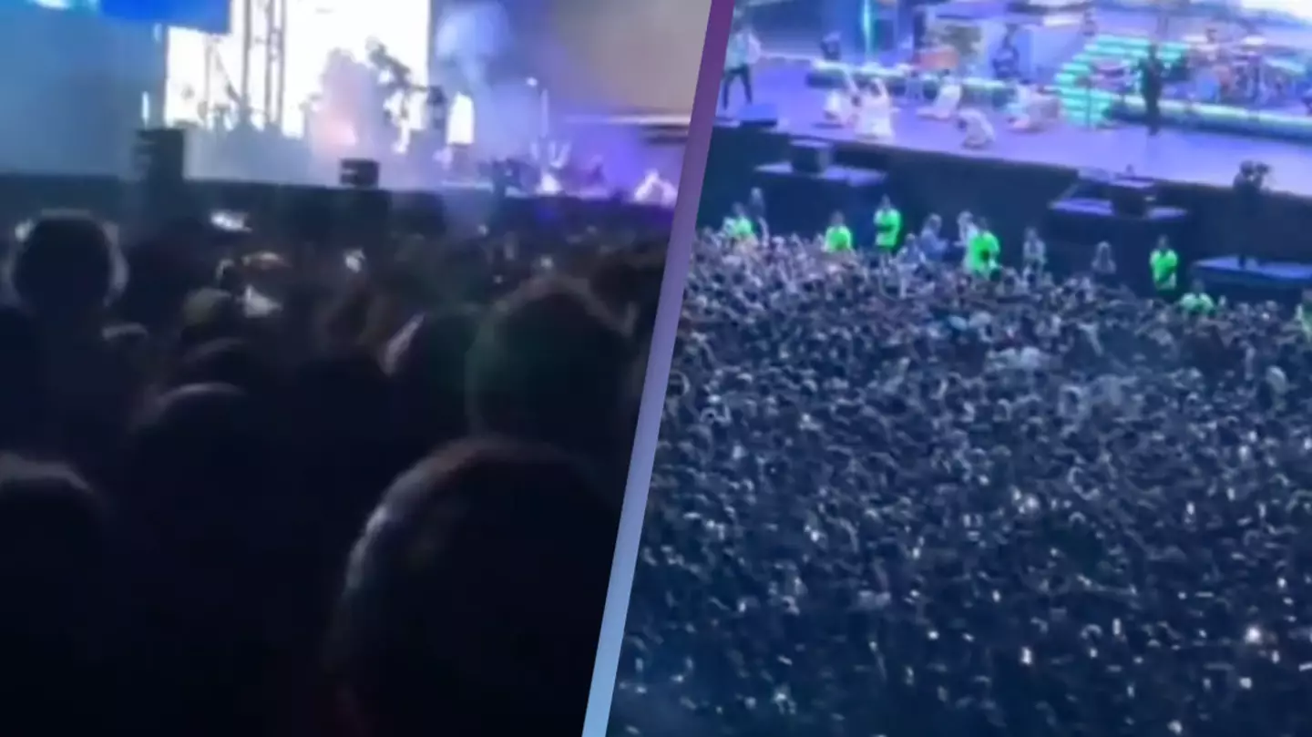 Huge number of people knocked to the ground at Lana Del Rey concert by mysterious energy wave