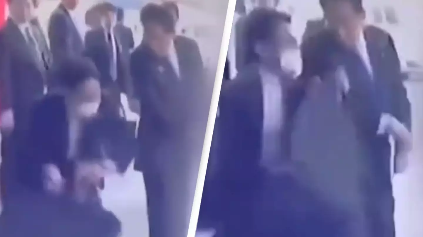 Bodyguard praised as wild footage released of 'assassination attempt' on Japan's prime minister