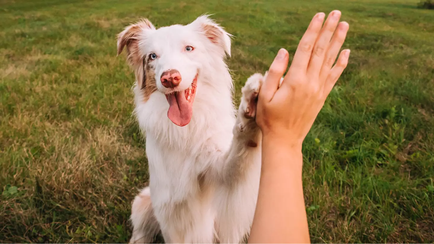 Julia Suhareva/Getty