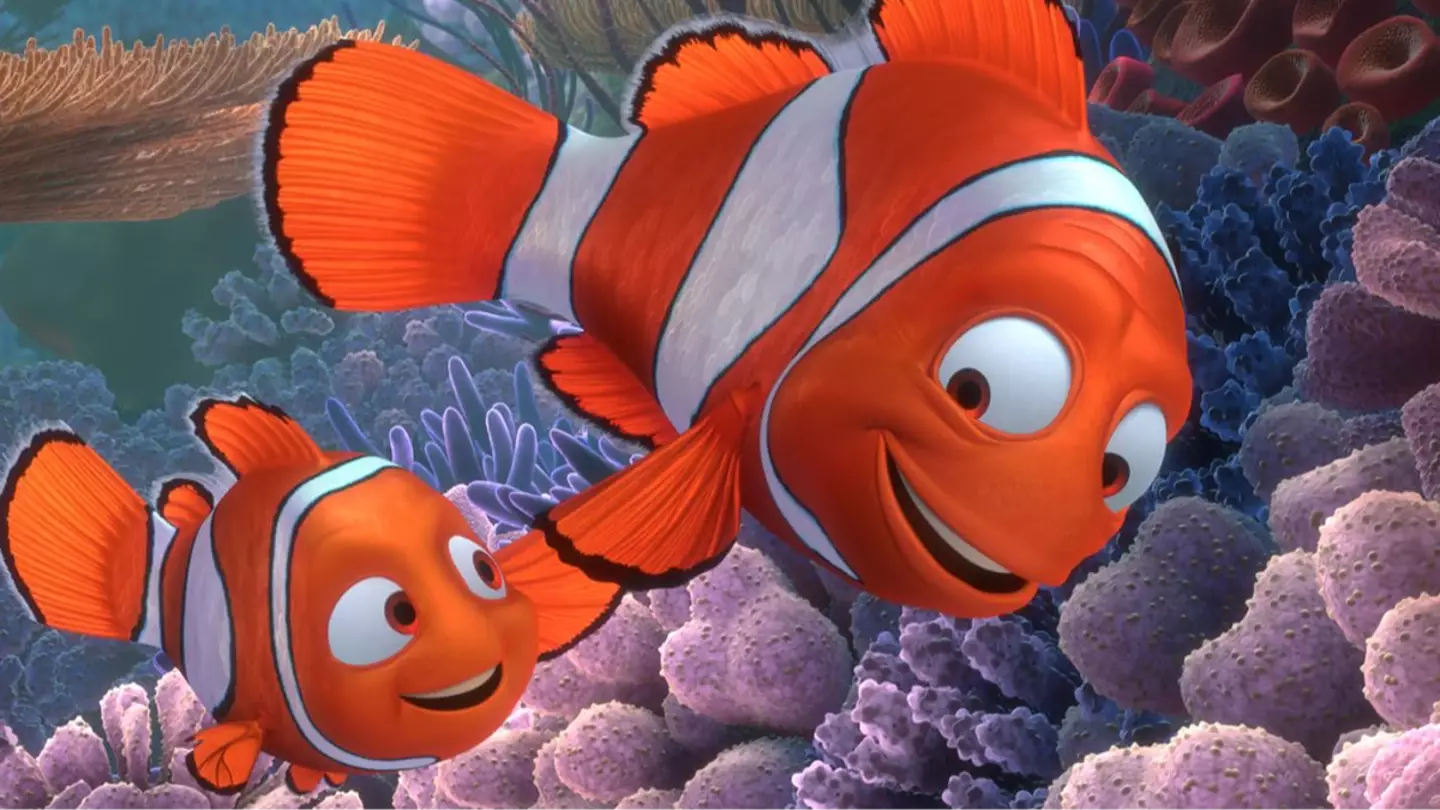 Fans of Finding Nemo left traumatized as disturbing fact changes everything about the film