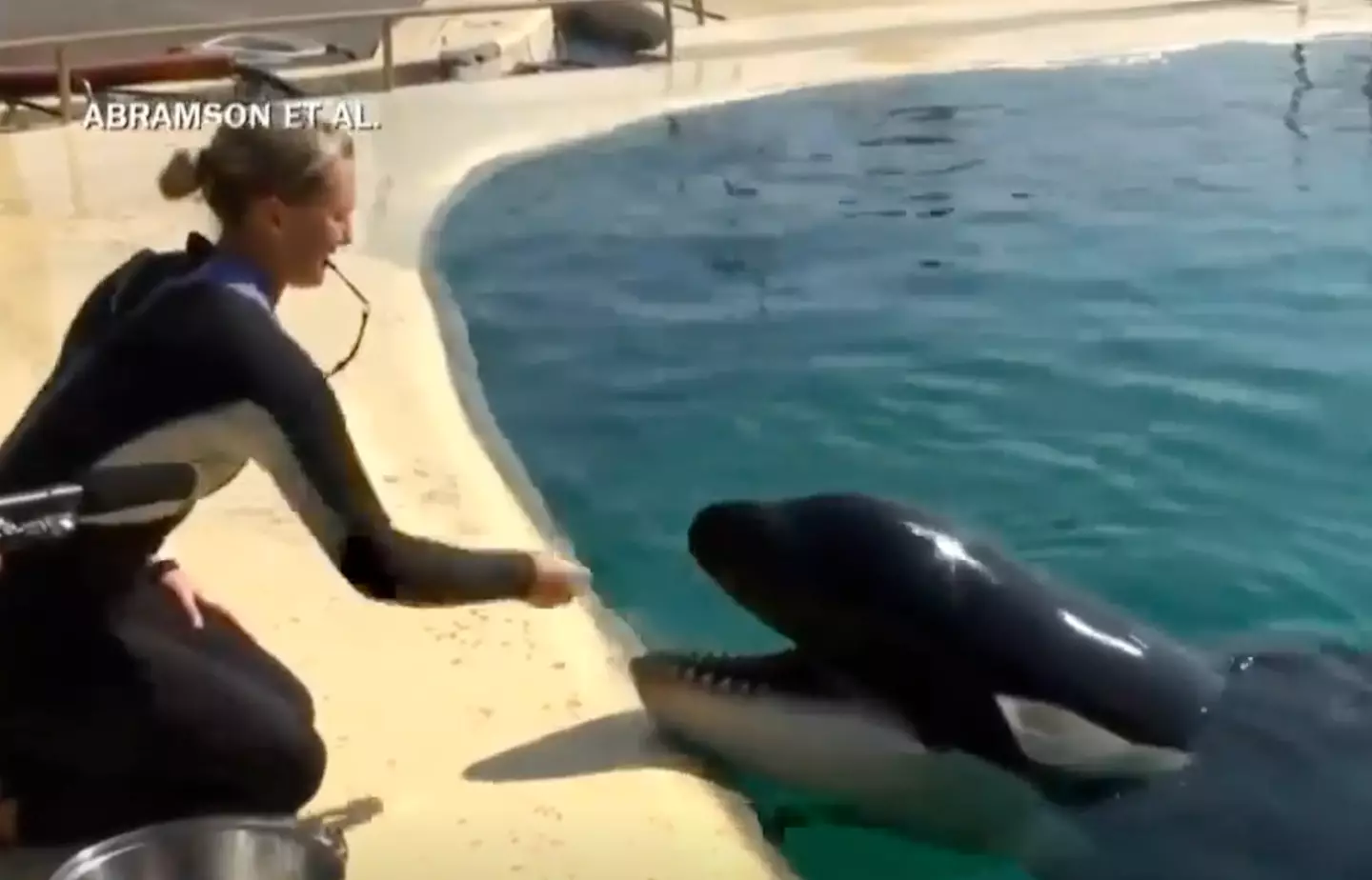 People couldn't believe what they were hearing online (CBSN)