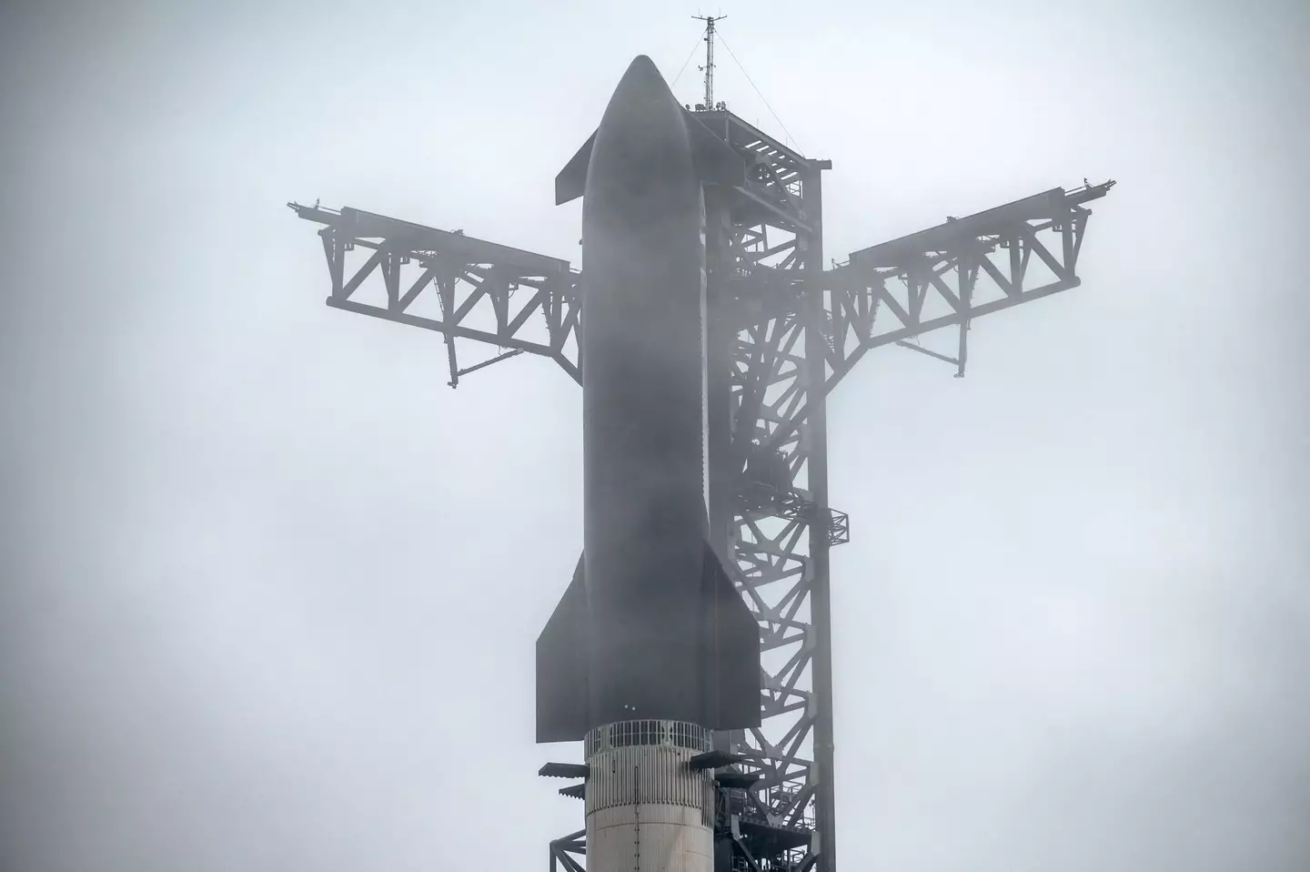 The SpaceX Starship on the launch pad on January 14, in Texas (SERGIO FLORES/AFP via Getty Images)