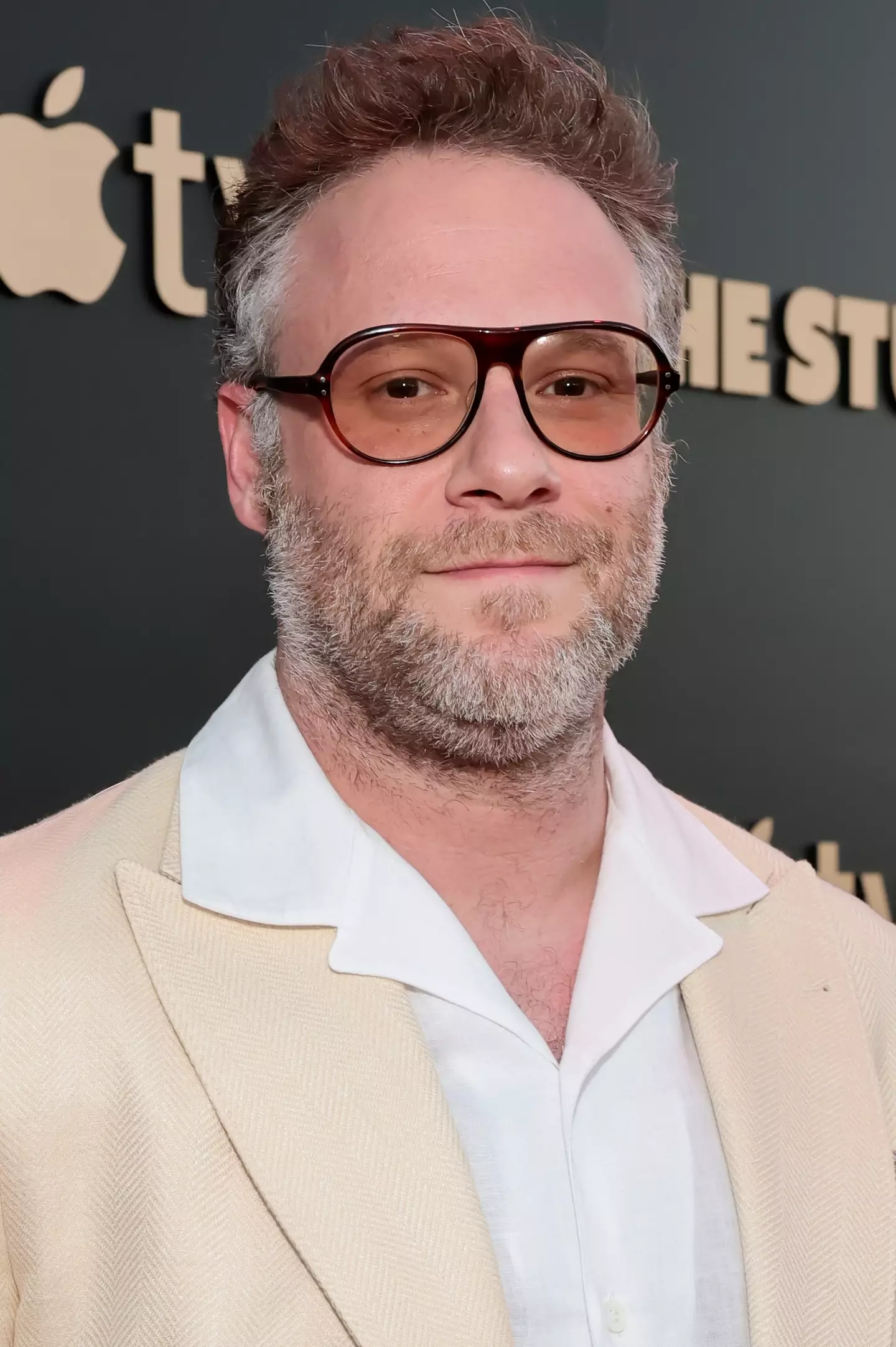 Seth Rogen was an executive producer on Preacher (Emma McIntyre/GA/The Hollywood Reporter via Getty Images)