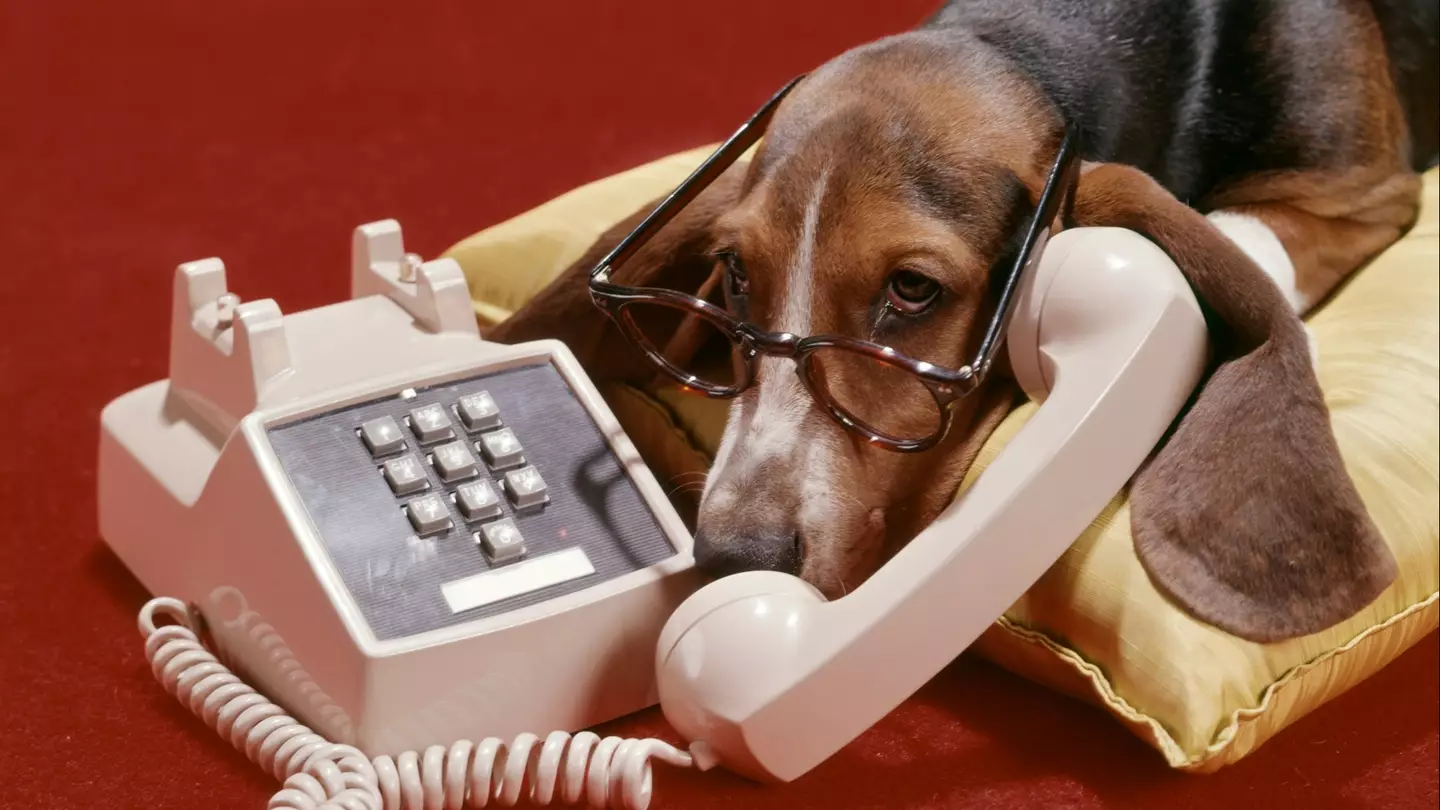 H. Armstrong Roberts/ClassicStock/Getty Images