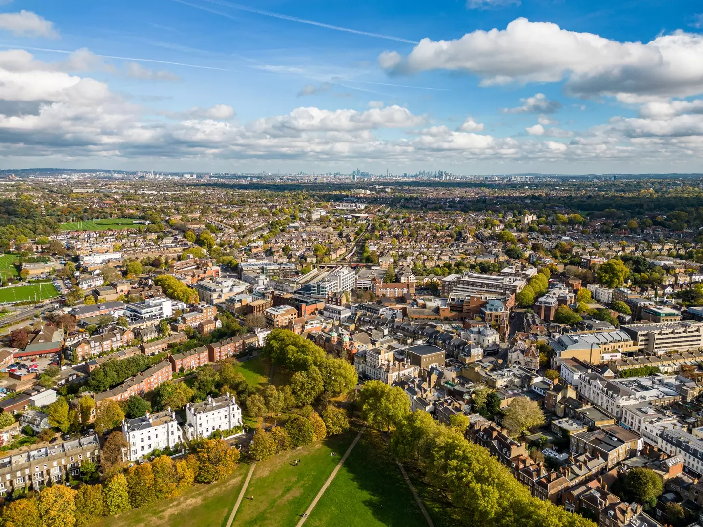 The skull was found in Richmond, London (Photo by Dutcher Aerials)