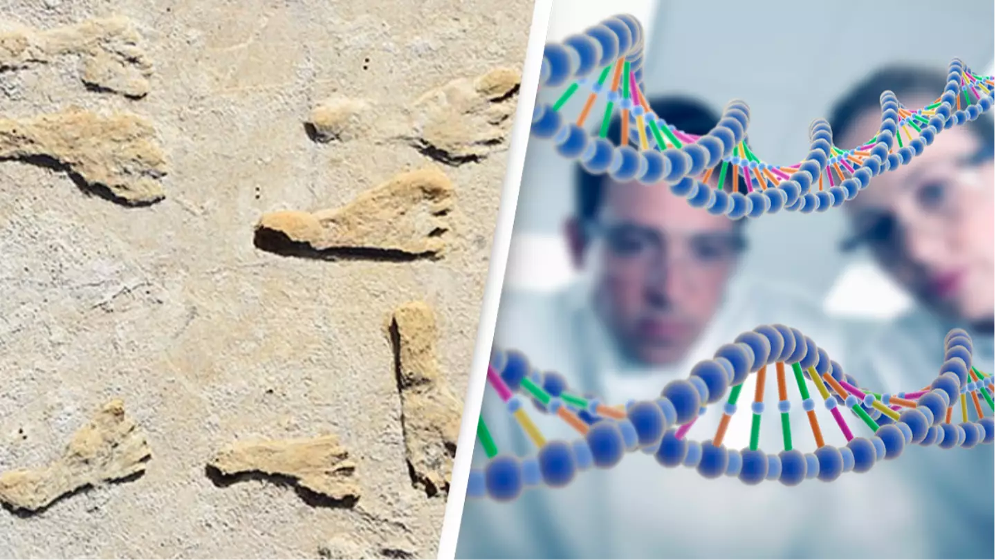 Scientists discover footprints that reveals truth about how long humans have existed