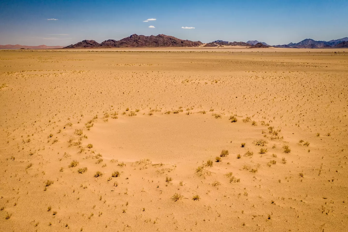 A so-called 'fairy circle' in Namibia.