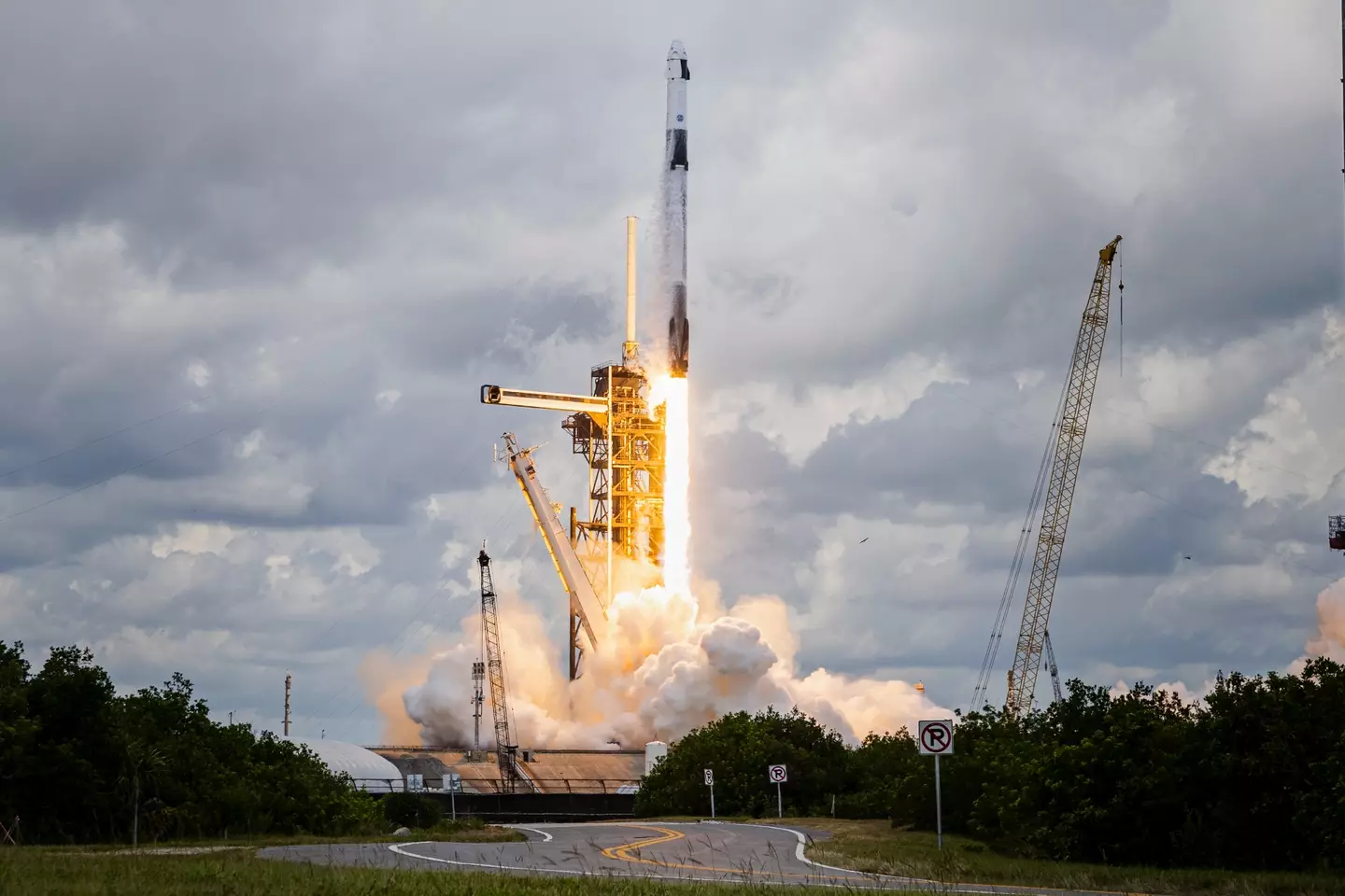 Crew-11 reached the ISS on one of Space X's Falcon 9 rockets ( Austin DeSisto/NurPhoto via Getty Images)
