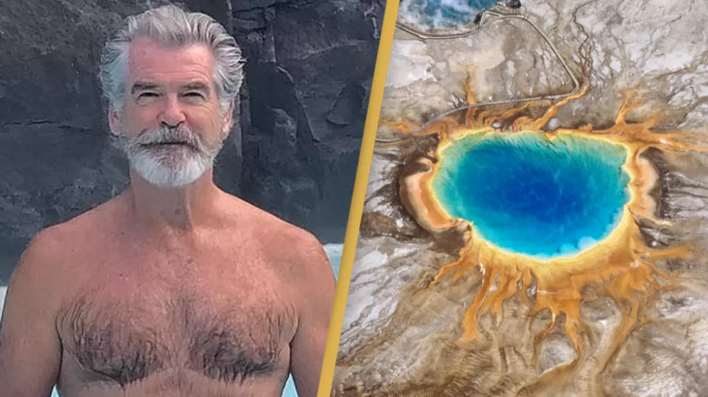 Pierce Brosnan could face jail time after making Yellowstone National Park mistake