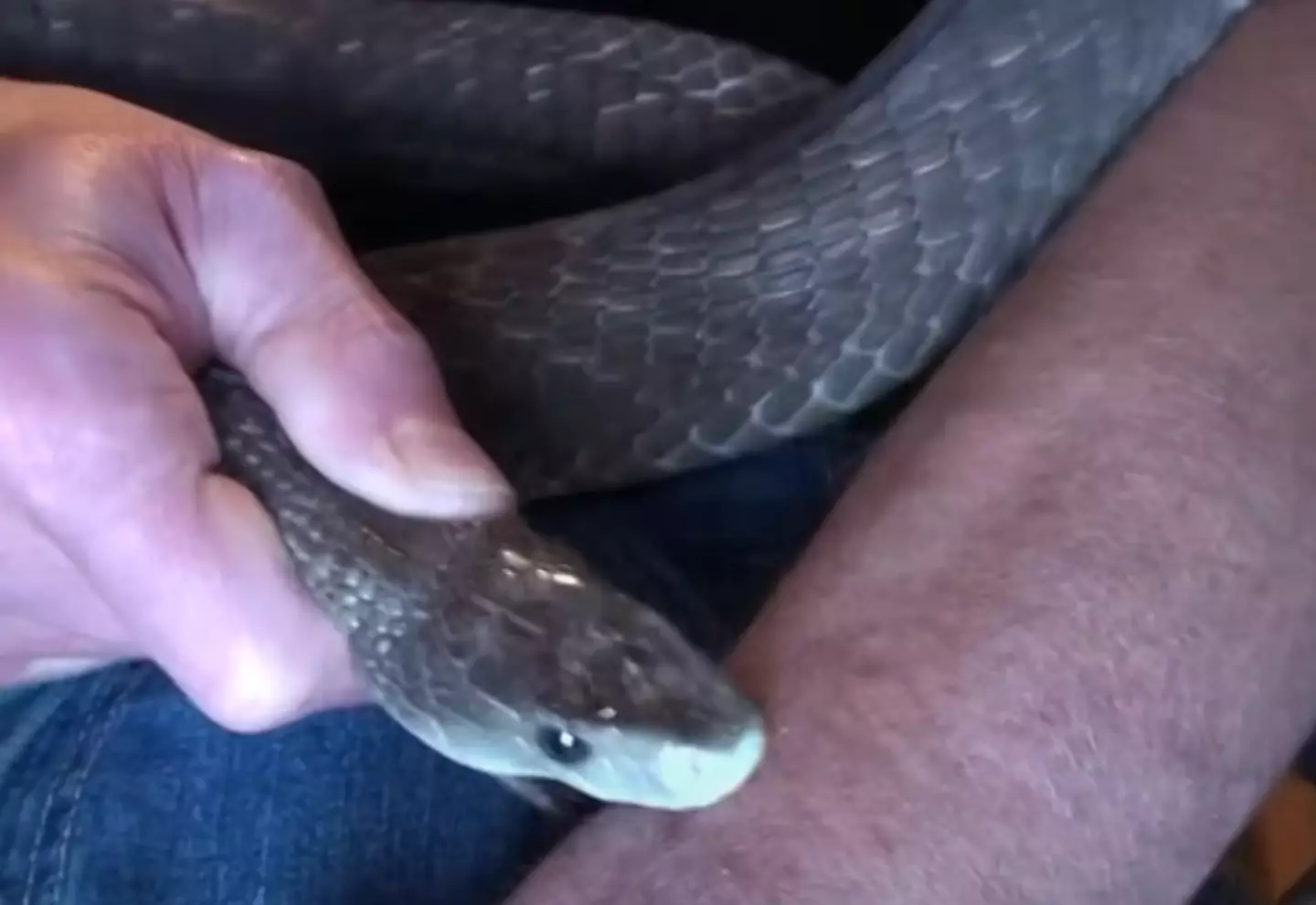 Just looking at this gives me the shivers (CNN)