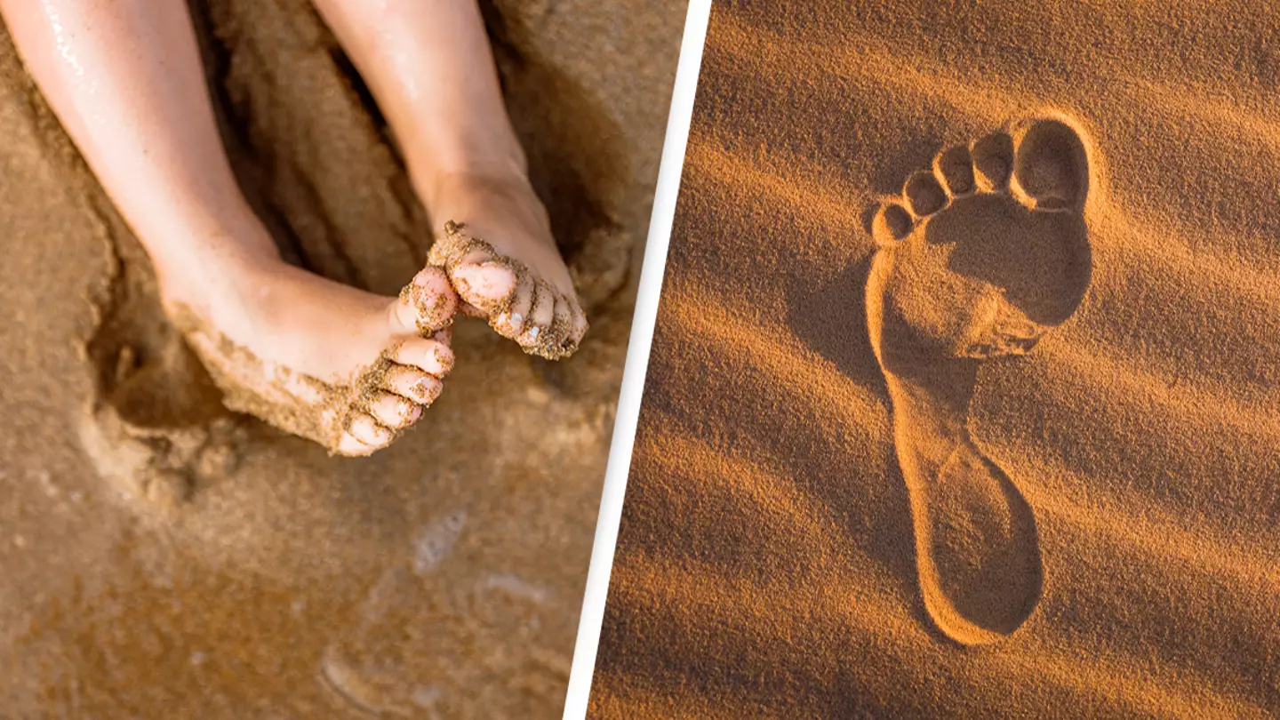 Mystery of why human feet keep washing ashore in the US and Canada took 10 years to solve