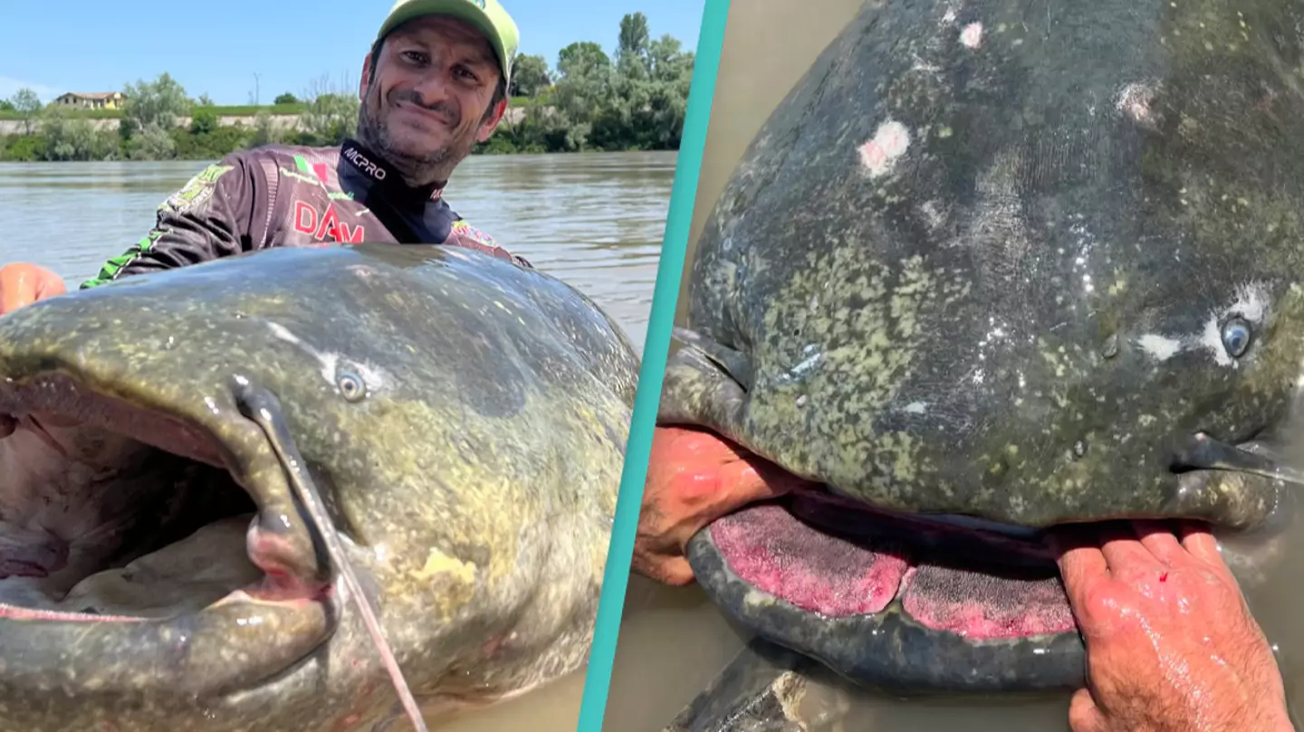 Fisherman catches 9-foot-long catfish in Italy weighing 330 lbs