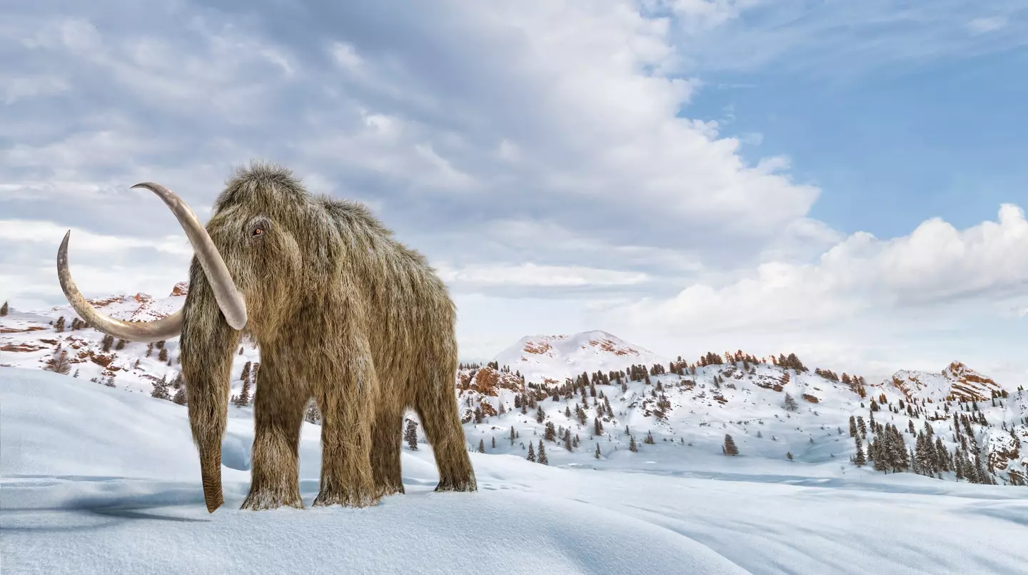 Woolly mammoths were around until about 10,000 years ago.