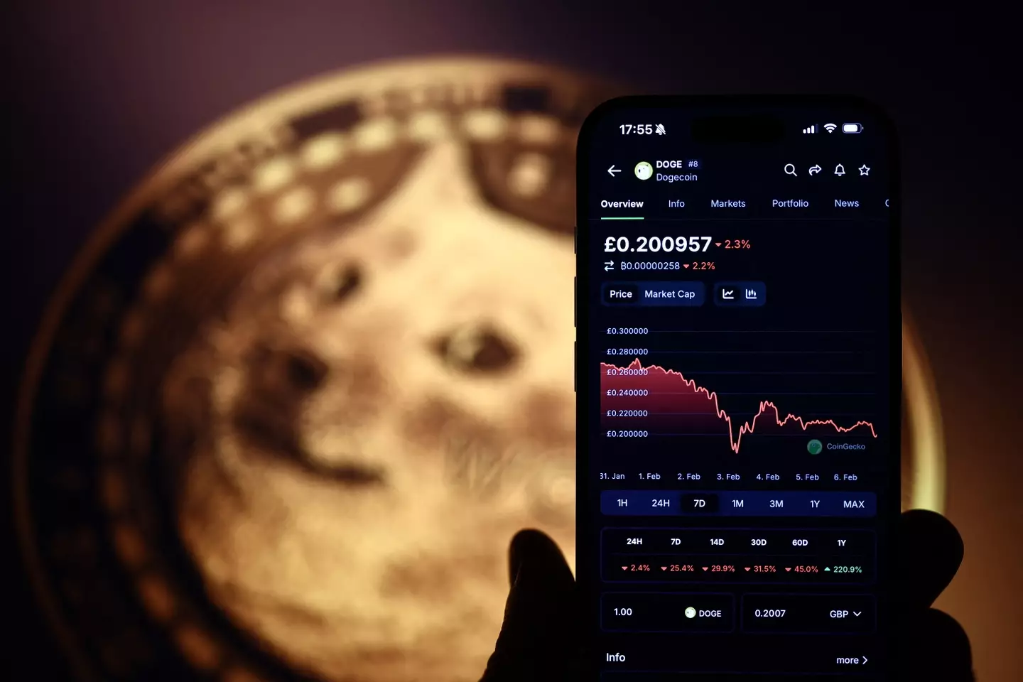 Bitcoin seemingly has an uncertain future according to the expert (HENRY NICHOLLS/AFP via Getty Images)