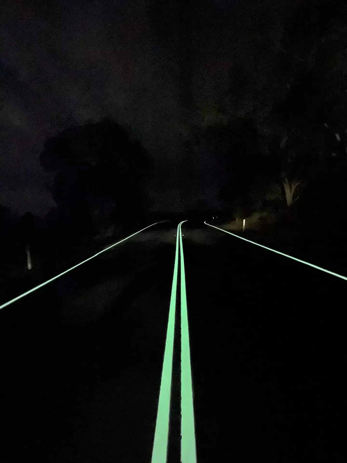 The lines light up at night to help drivers.