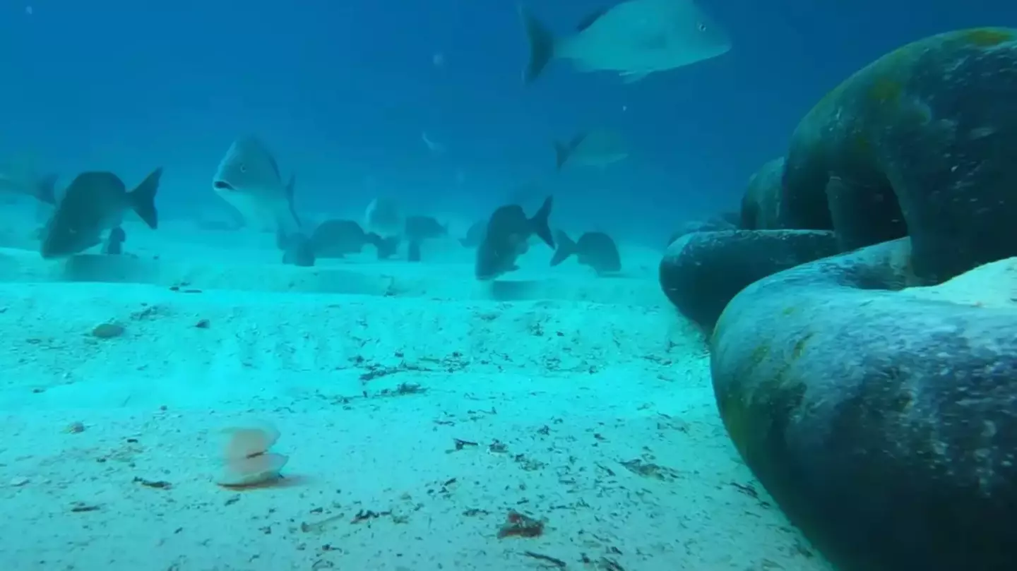 Man leaves people 'terrified' as he drops GoPro under cruise ship and discovers what's underneath