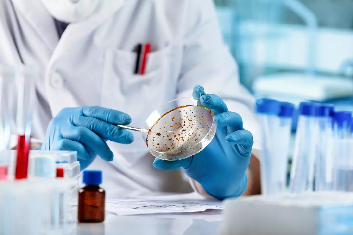 The fungus converts radiation into chemical energy in a process known as radiosynthesis (Getty Stock Images)
