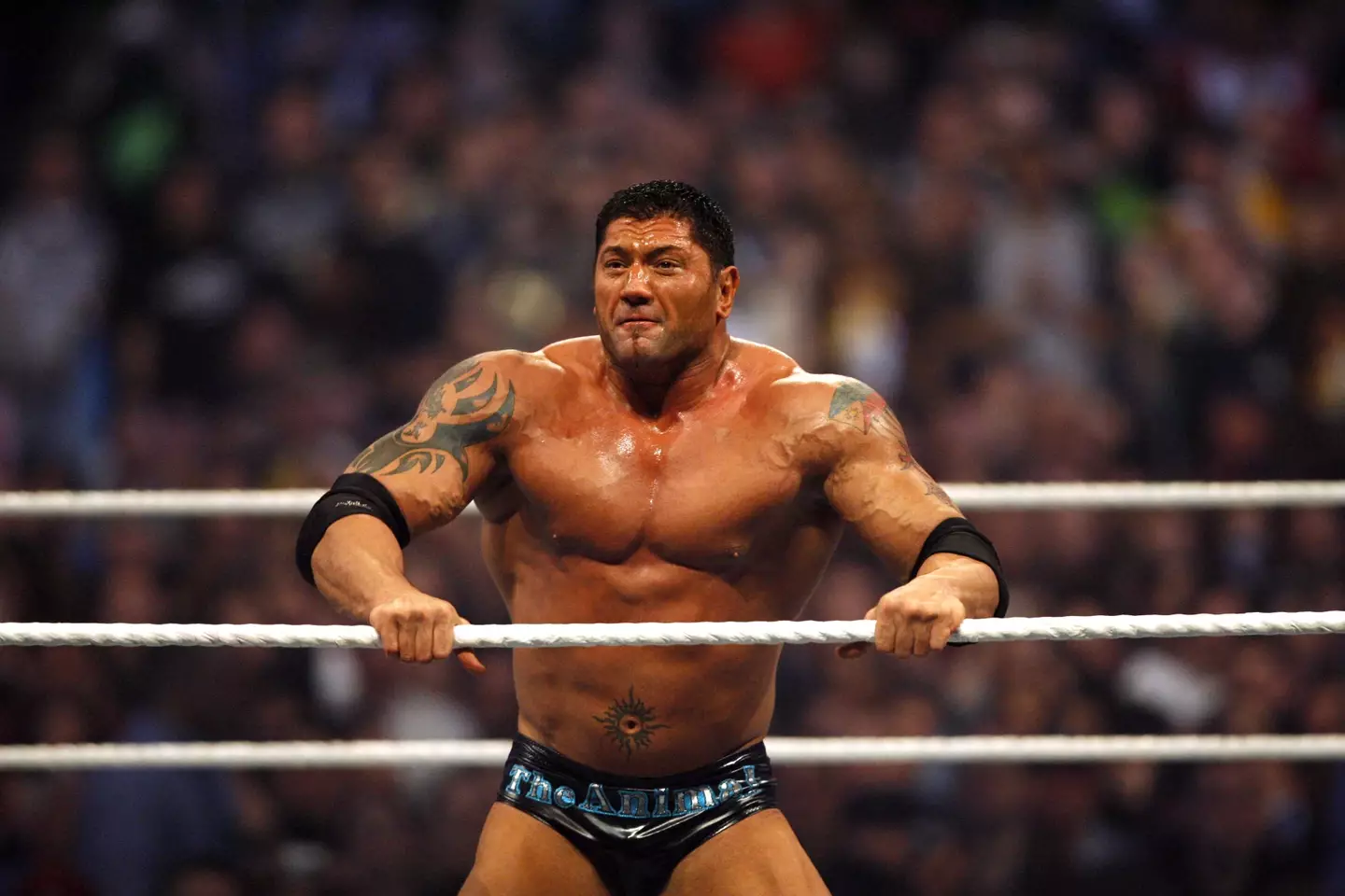 Dave Bautista partaking in WWE in 2007 (Leon Halip/WireImage)