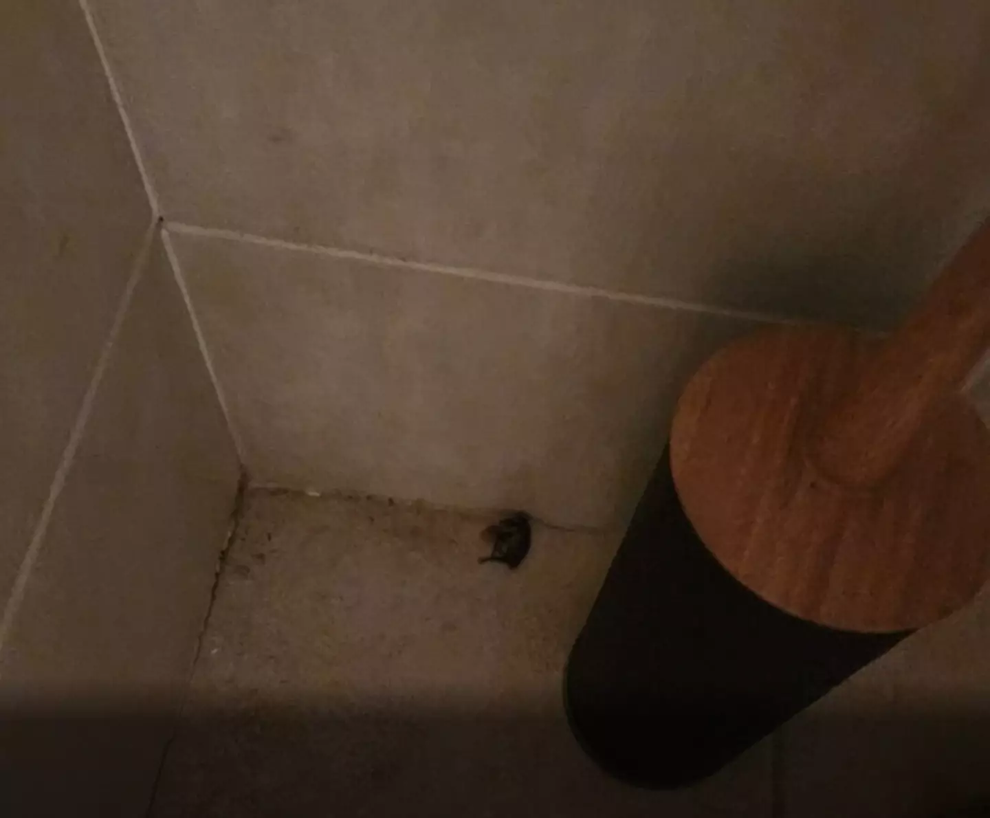 Kitti did not receive a full refund for her stay.