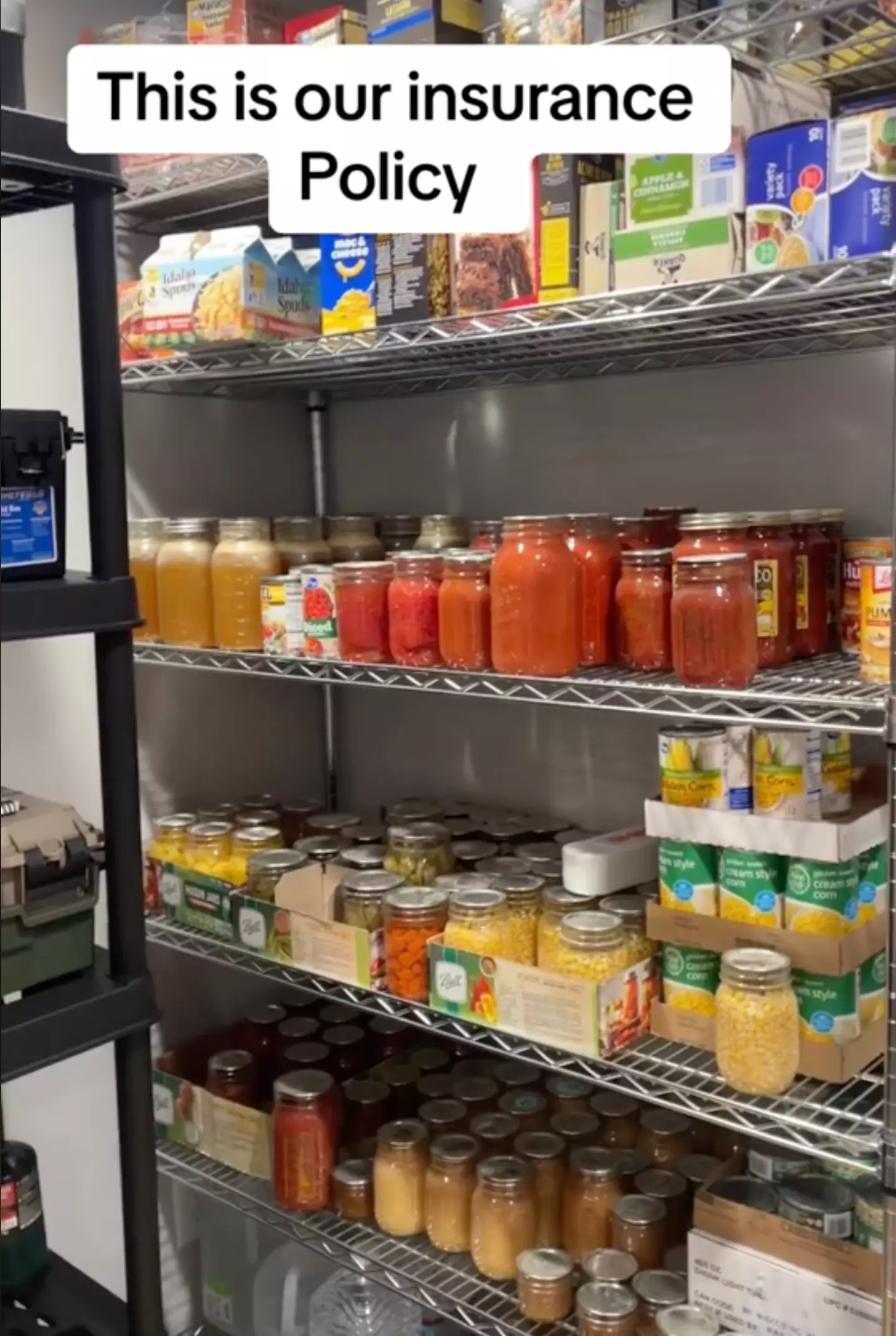 Krystal wants to have three years worth of food prepped for her family (@CharminglyFrugal/TikTok)