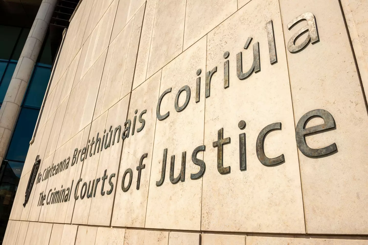 The court heard from defence witness Professor Patricia Casey that the suspect is not fit to stand trial.