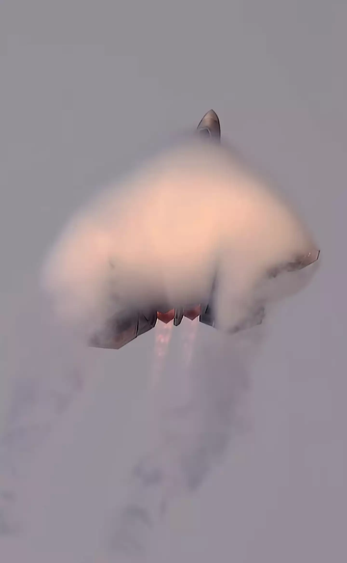 People have been left in awe at the amazing video. (Mark Fingar/Instagram)