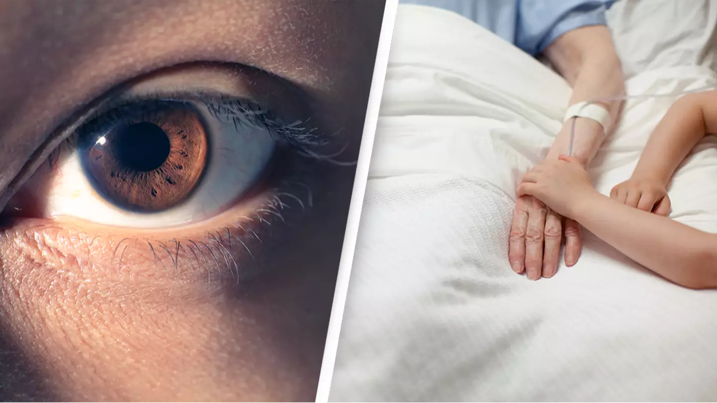 Scientists brought back to life eyes that died just five hours earlier