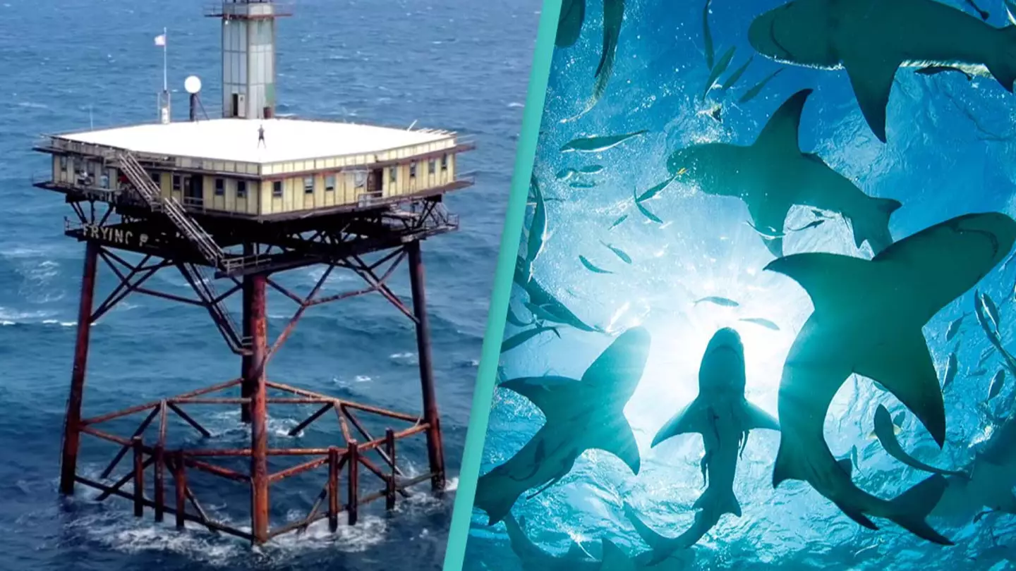 ‘Most dangerous hotel in the world’ surrounded by sharks that guests can only access by helicopter