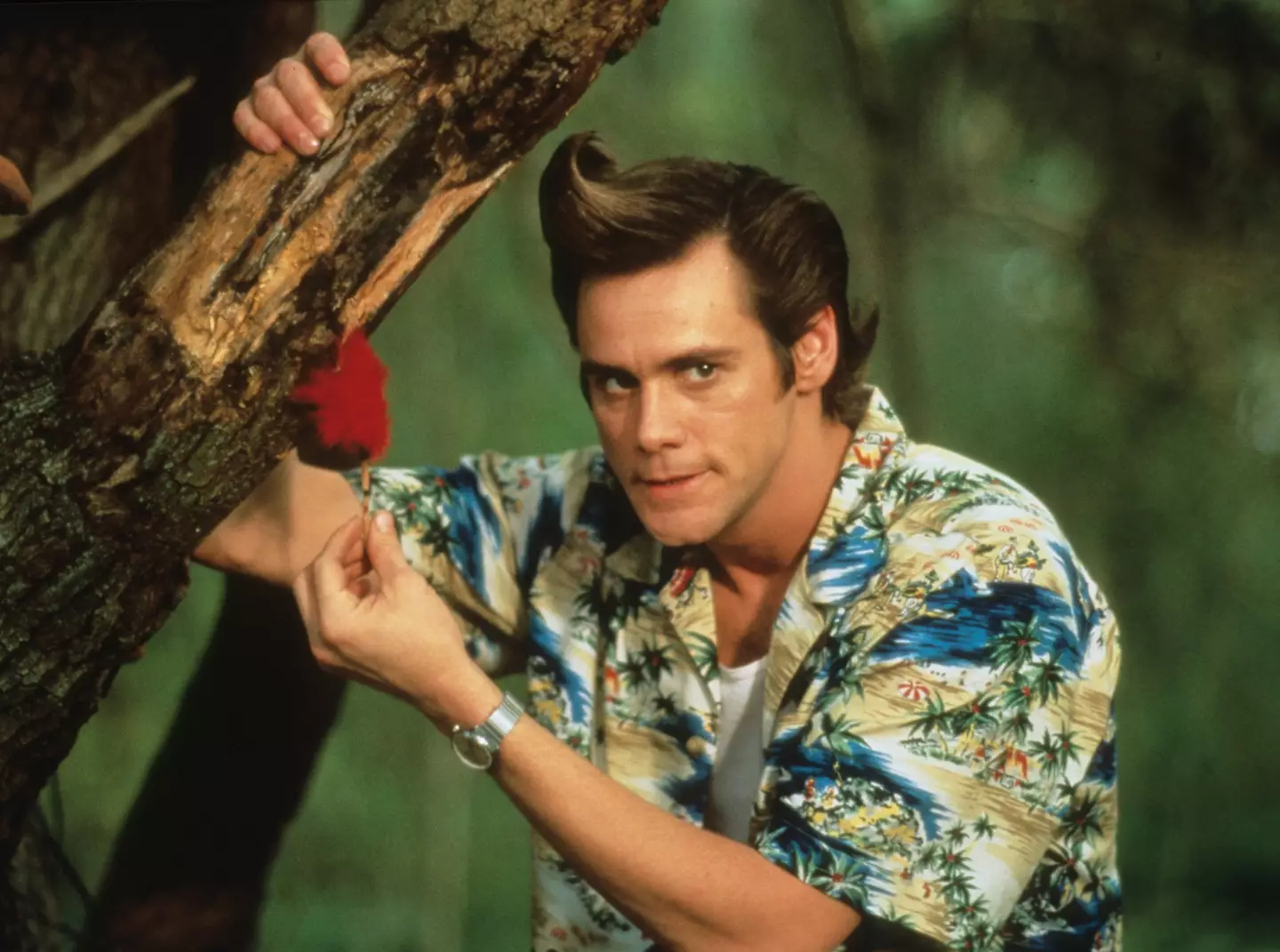 Jim Carrey bought the property in 1994, before Ace Venture was released.