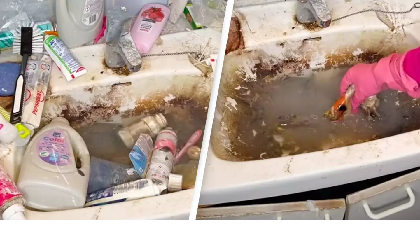 Professional Cleaner's Jaw-Dropping Transformation Of Dirty Sink Is Oddly Satisfying To Watch