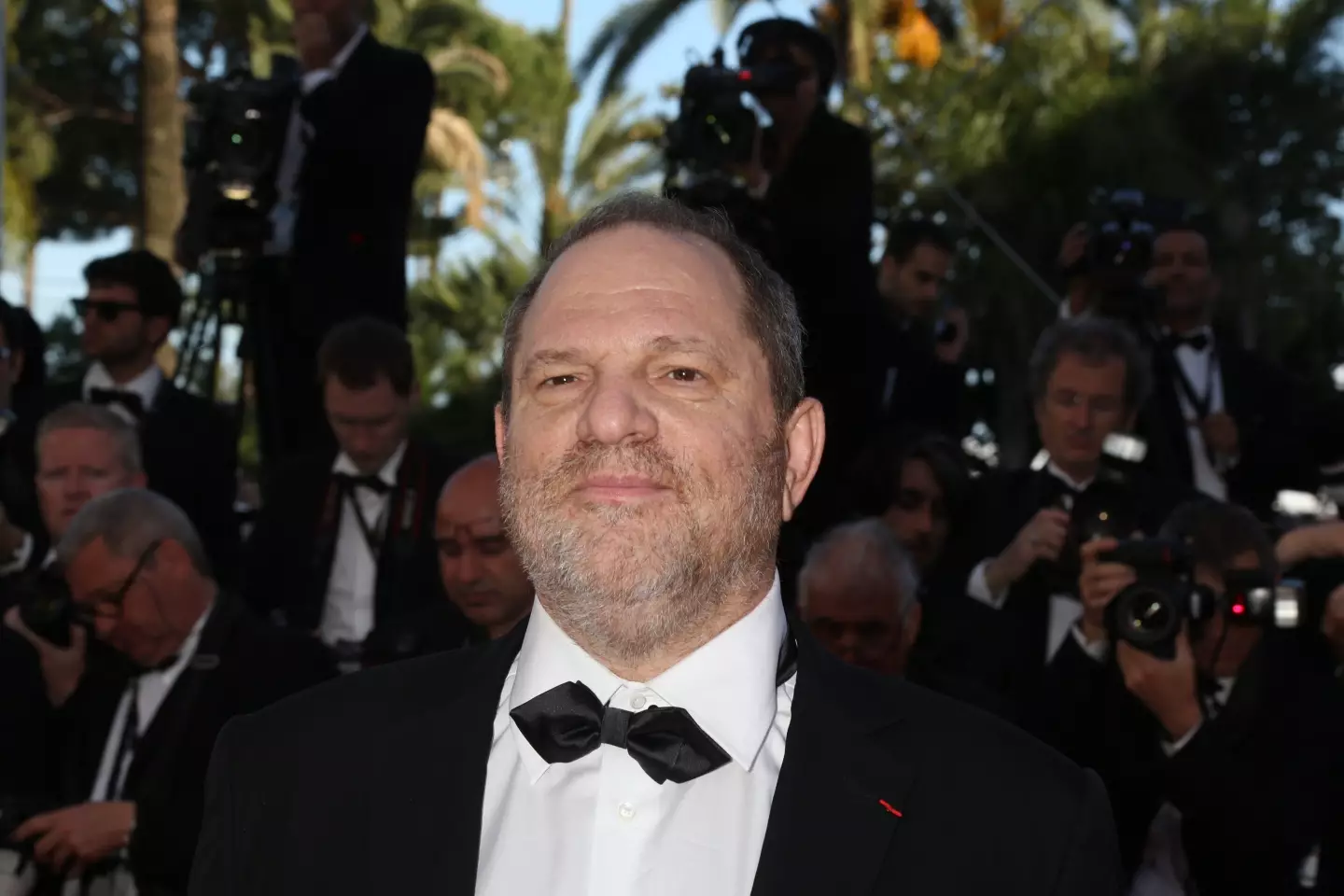 Producer Harvey Weinstein arrives at the opening of the 65th Cannes Film Festival in 2012.