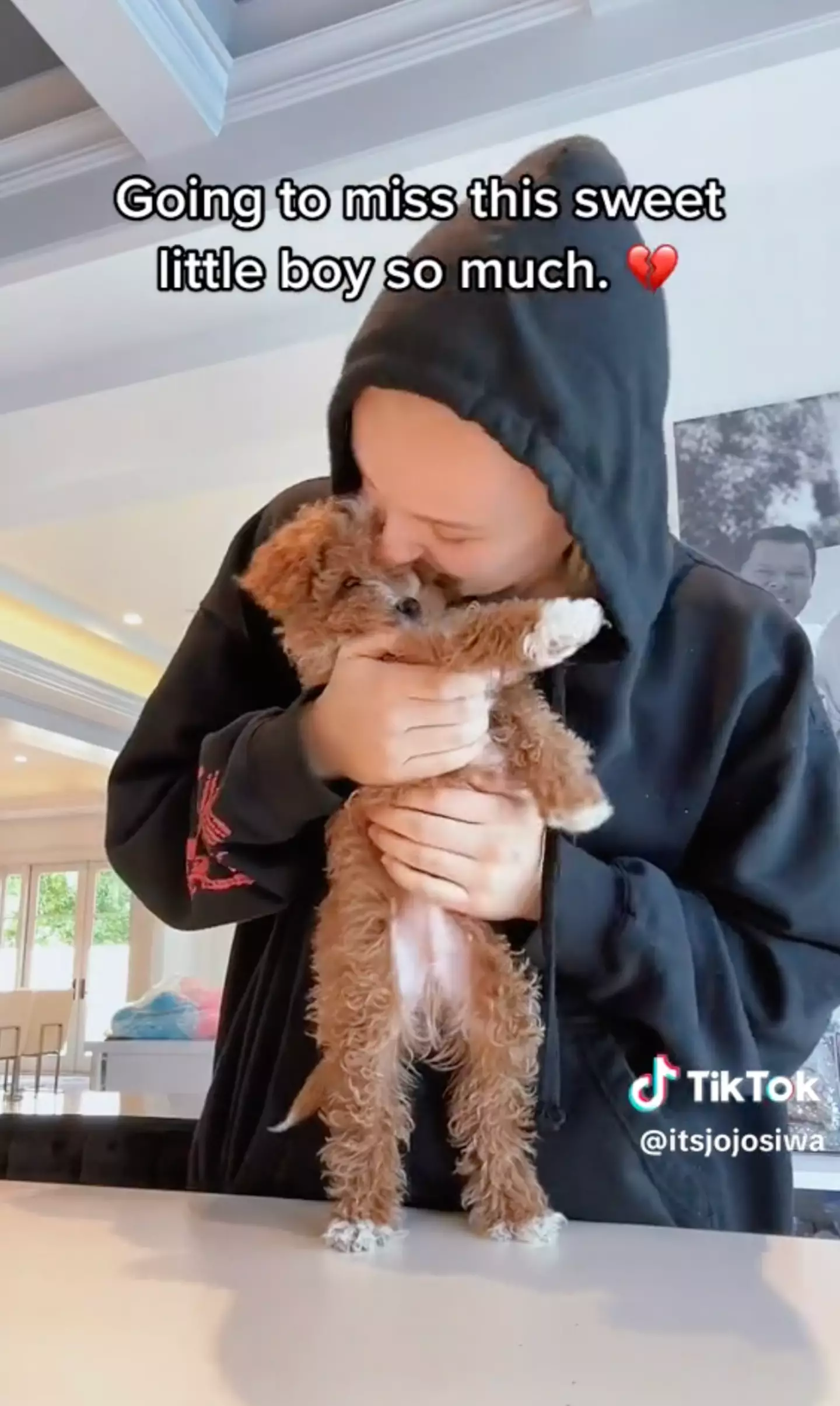JoJo Siwa revealed her beloved pet is 'now in puppy heaven'.