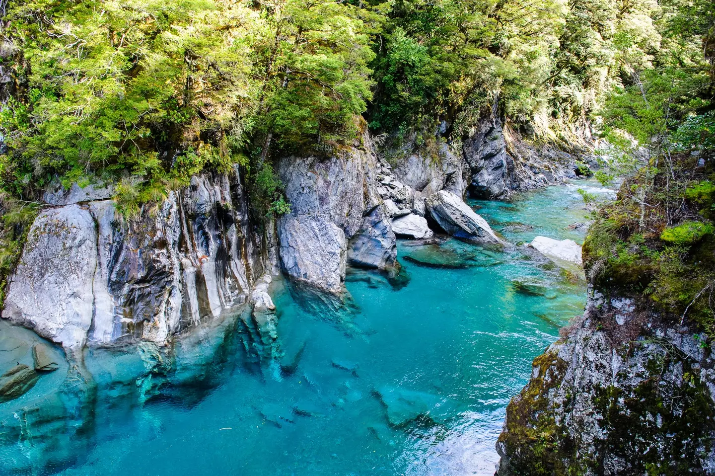 The water in Haast is so blue.