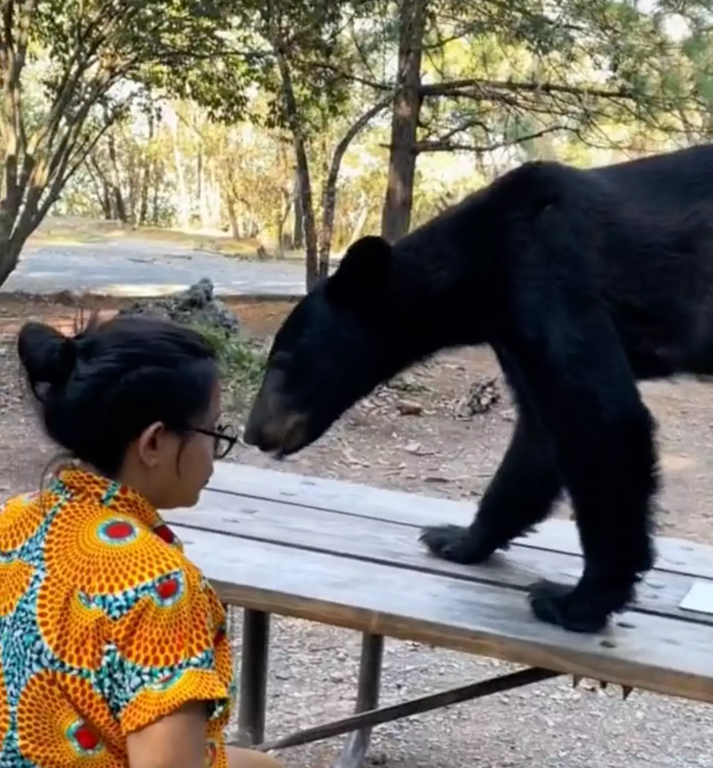 The bear left without anyone getting hurt.