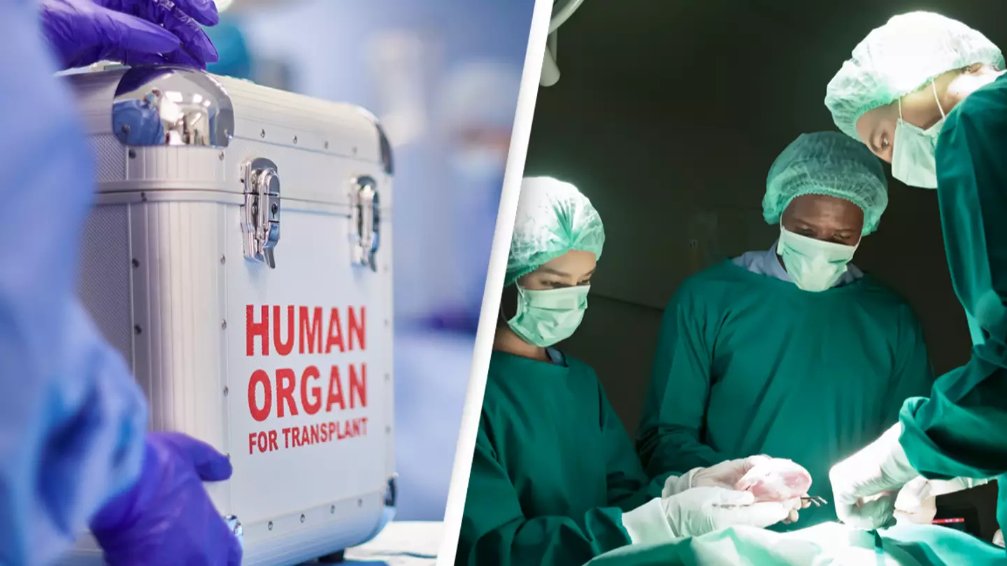 Horrifying research claims organ transplant patients could inherit donors' memories and personalities