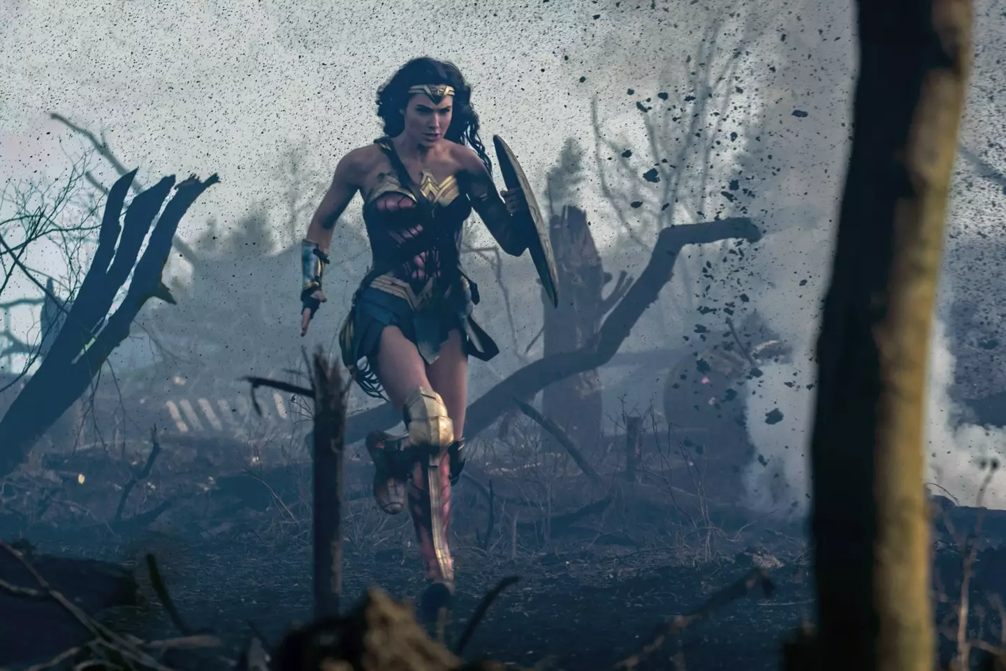 Gal Gadot as Diana in the action adventure flick 'Wonder Woman'.