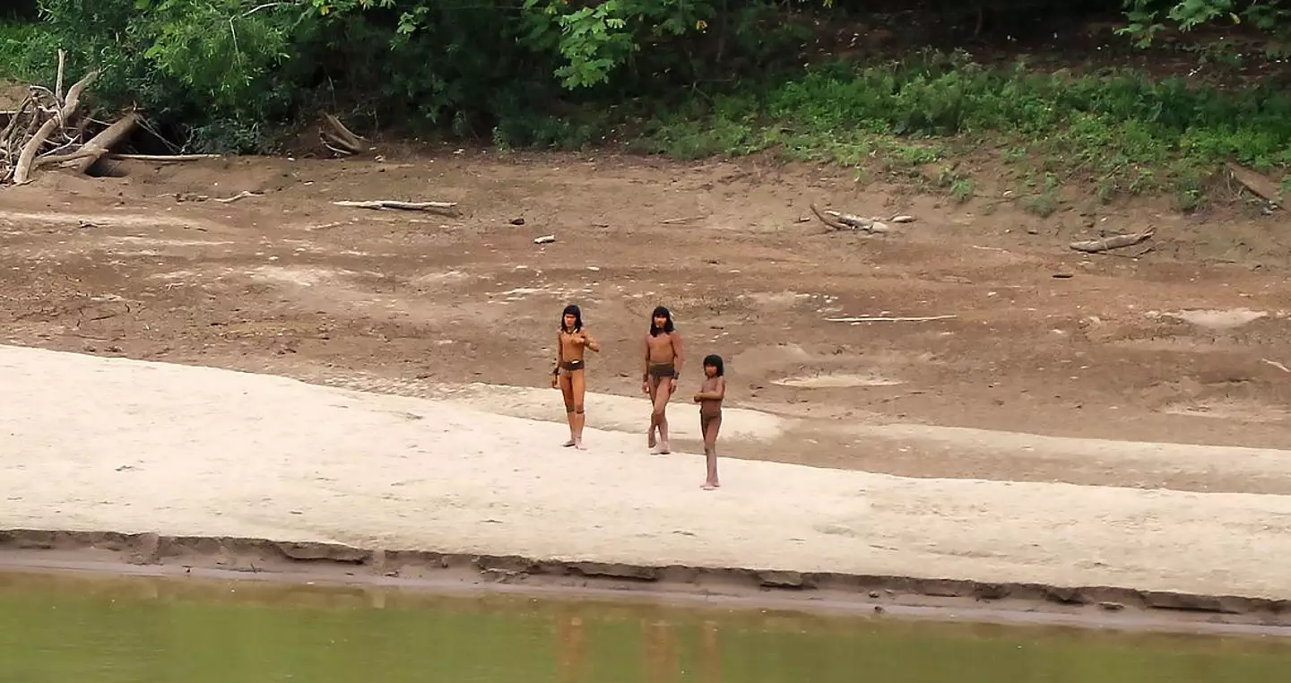 The group was spotted dangerously close to land granted to loggers. (Survival International)