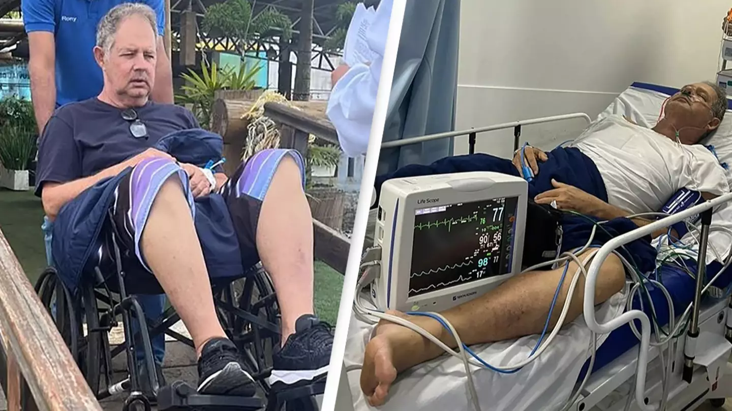Man dies after being bitten by venomous spider hiding in restaurant chair