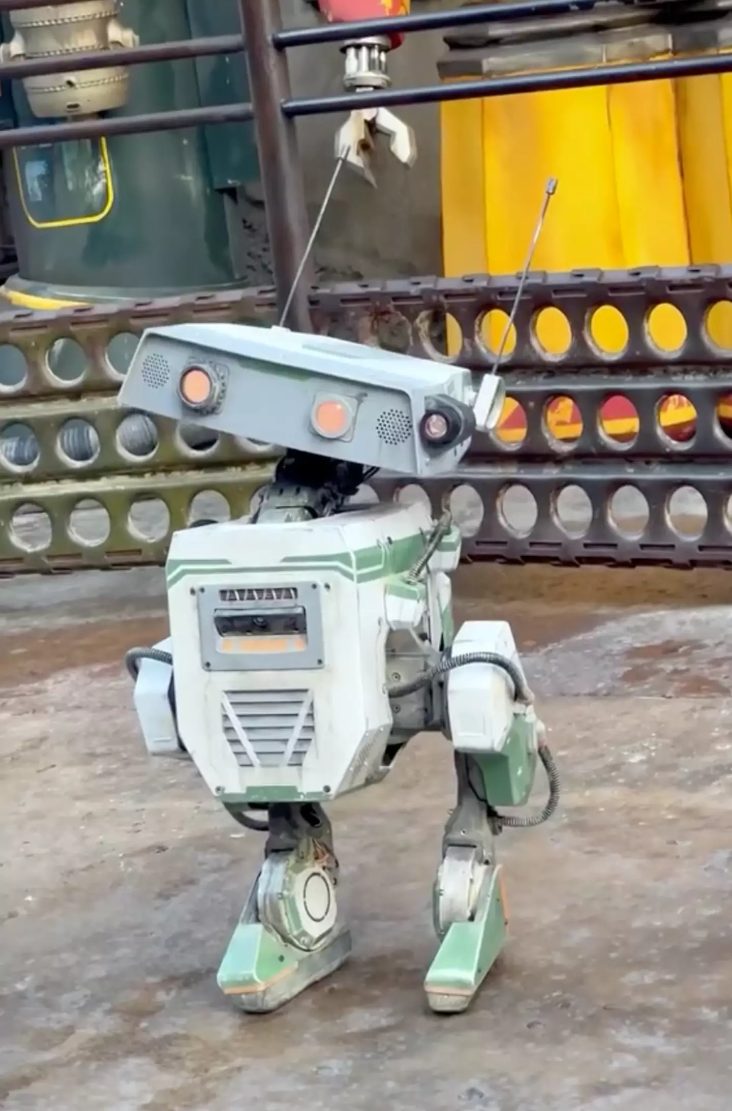 Look at these little guys!