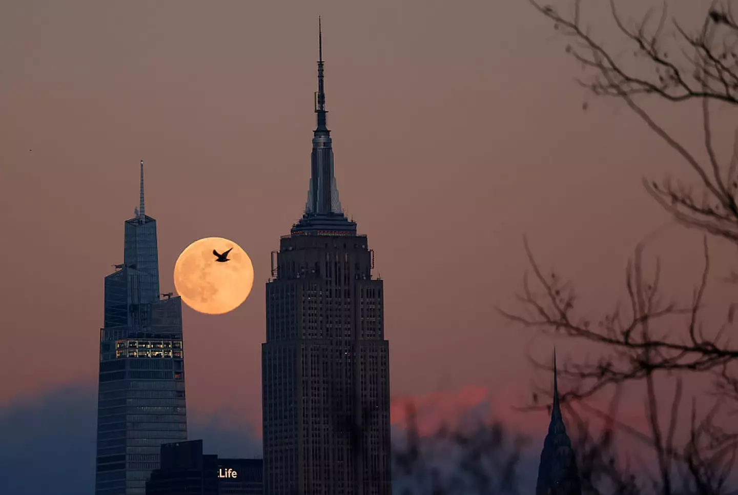 This weekend's supermoon will be the last until November (Gary Hershorn/Getty Images)