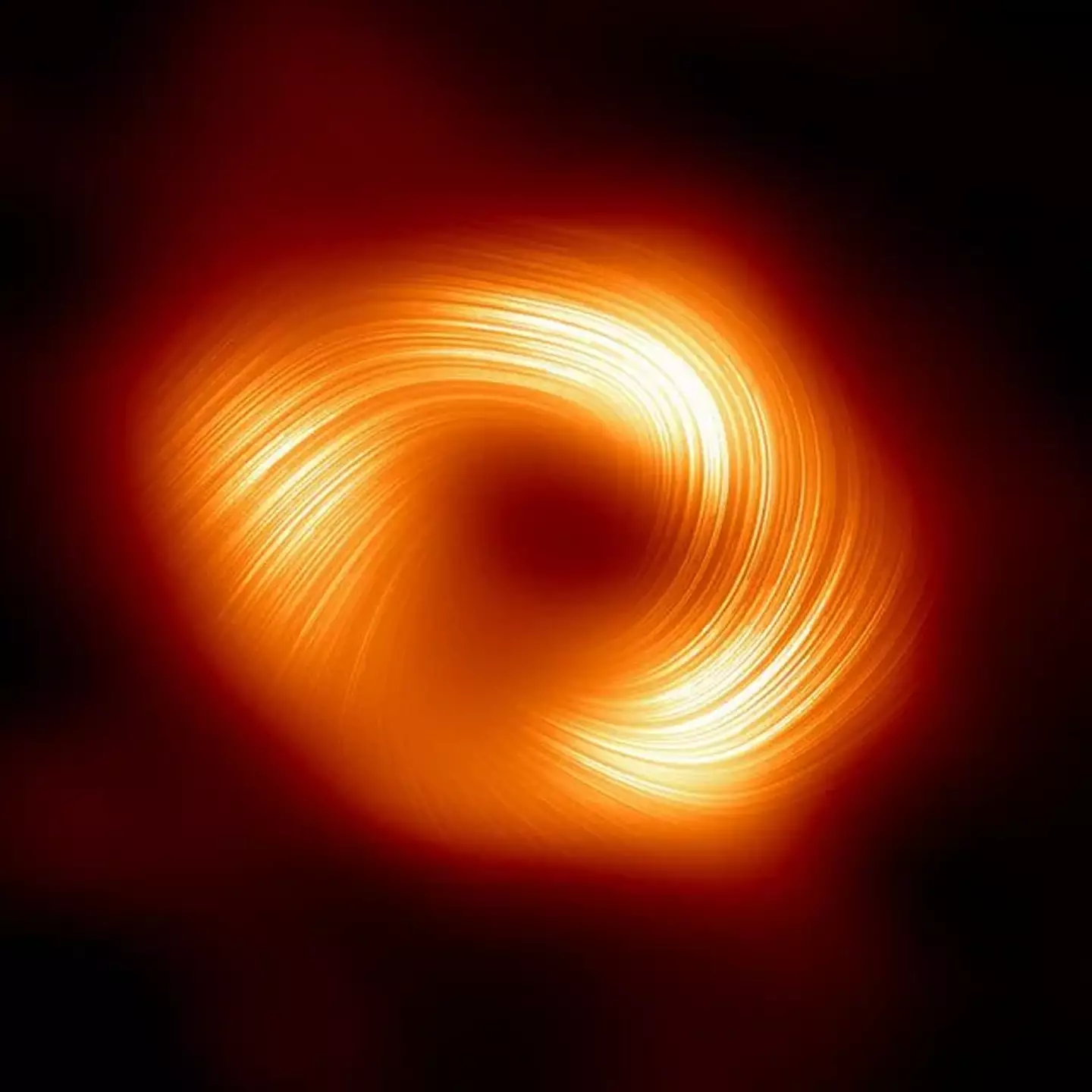 The polarised image of a black hole.
