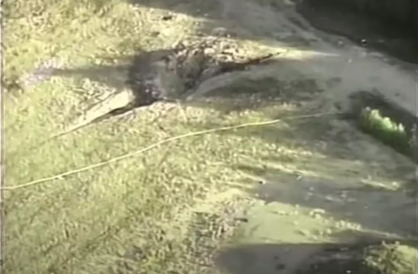 United Airlines Flight 93 crashed into a field in Somerset County, Pennsylvania.