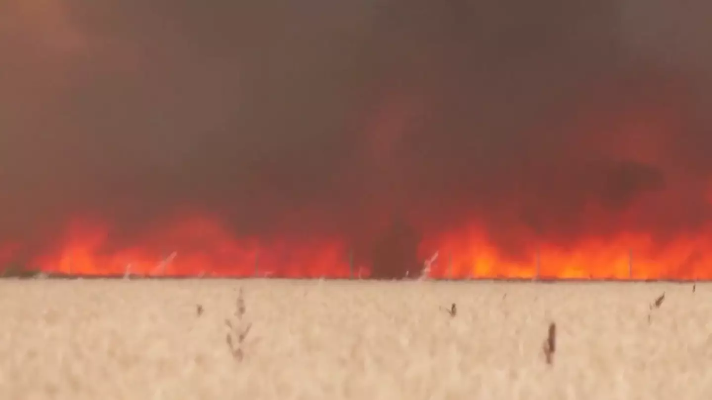 Although the man survived, he suffered serious injuries.